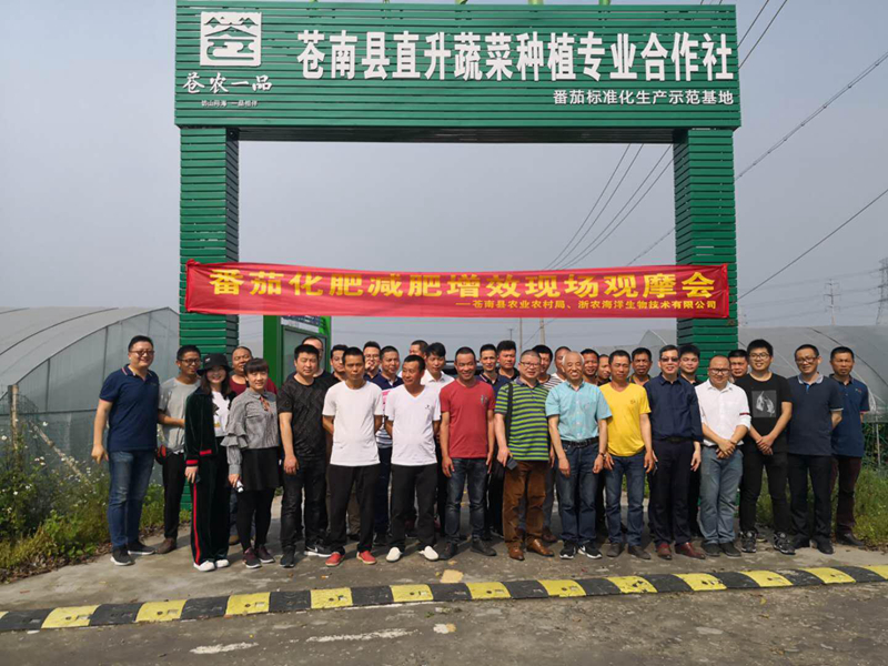 浙農(nóng)海洋：助力蒼南番茄種植減肥增效