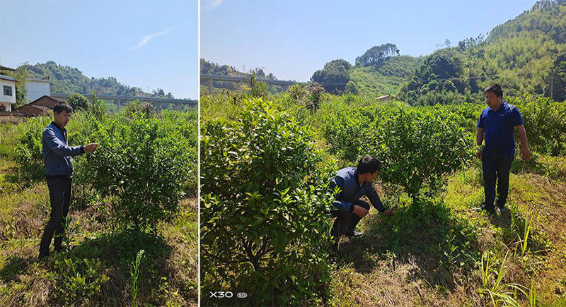 1589335762252834.jpg 圖片2_副本.jpg