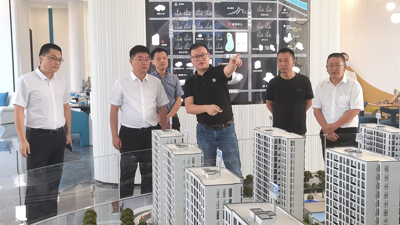 松陽(yáng)縣委副書記梁海剛到美林&middot;南宸府項(xiàng)目調(diào)研