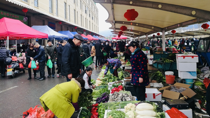 春風(fēng)輕拂百花開 農(nóng)批市場&ldquo;春意&rdquo;濃
