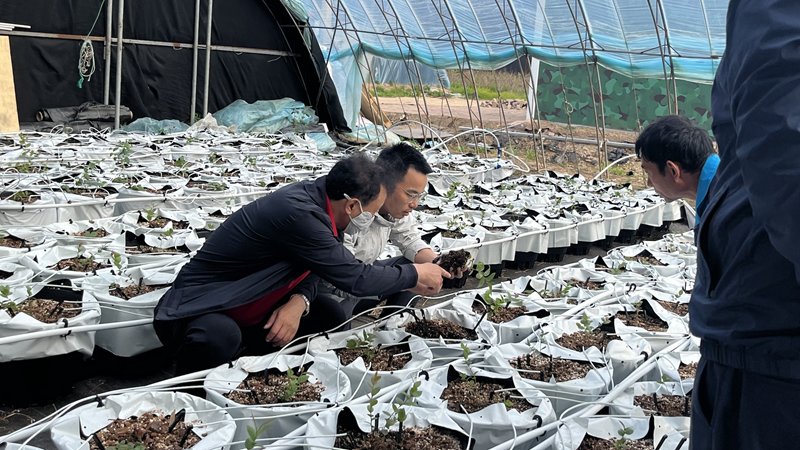 1686618504609380.png 圖片3_副本.png