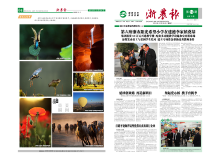 浙農(nóng)報2013年第12期（一、四版）